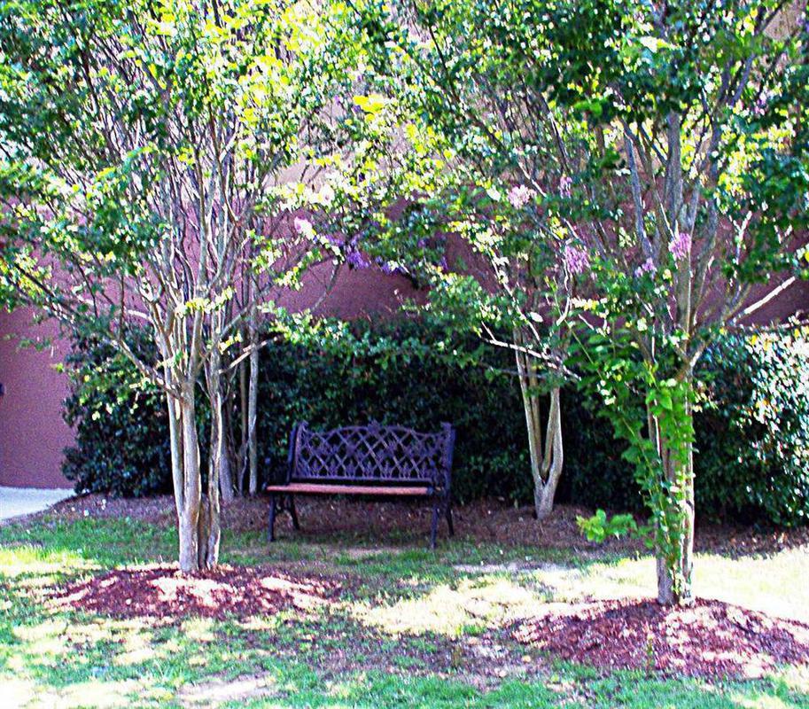 Hampton Inn Cartersville Exteriér fotografie